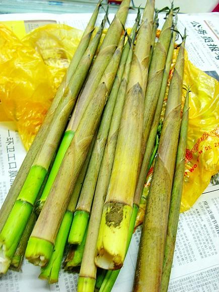 С��������Ƭ������