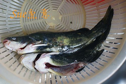 �ƹ���ѩ�˶�����������