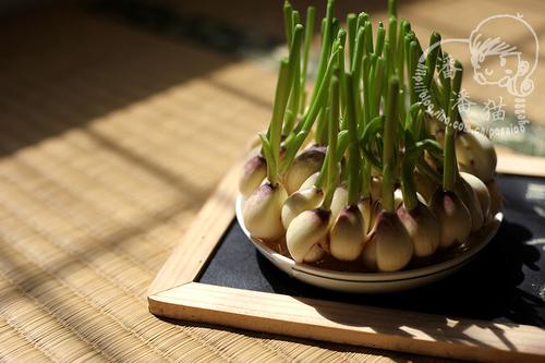 ���ⶹѿ������������