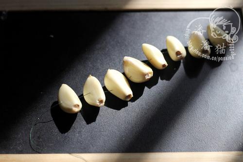 ���ⶹѿ������������