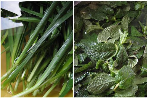 ���������ε�����