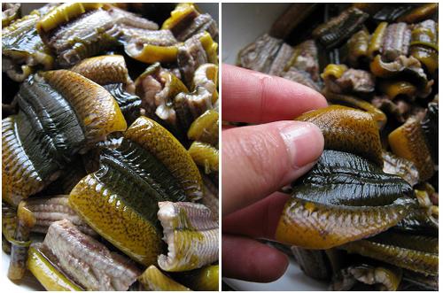 ���������ε�����