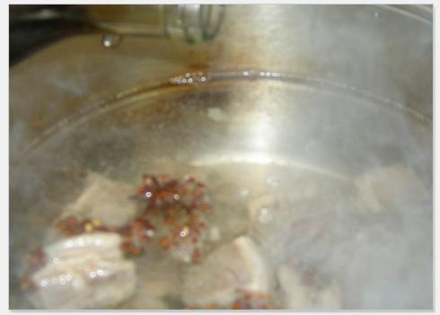 ����ײ���������