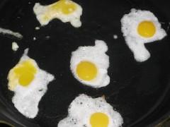 ��Ƭ���������ȵ�������