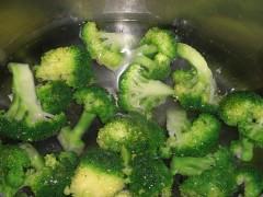 ��Ƭ���������ȵ�������