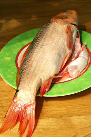 ơ���㹽�պ��������