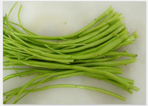 �峴���Ĳ˹�������