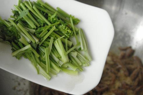 ���ţ�������