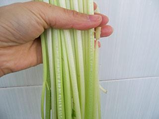 �۲���˿������