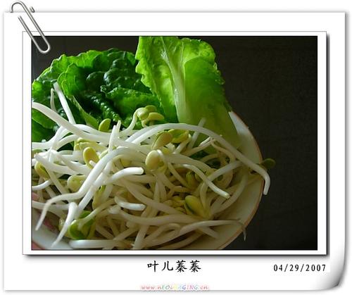 ˮ����Ƭ������