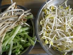 ����һ��˵�����