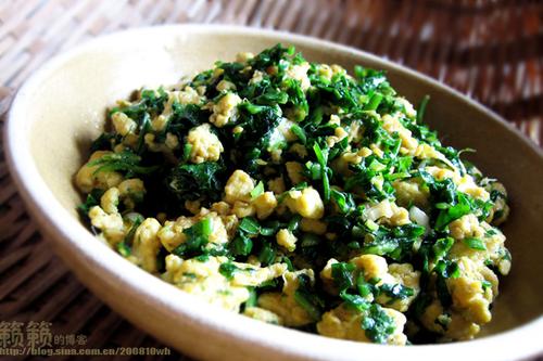 ���˳�����������