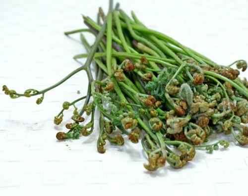 ζ��ާ��������������