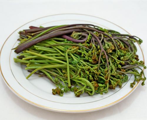 ζ��ާ��������������