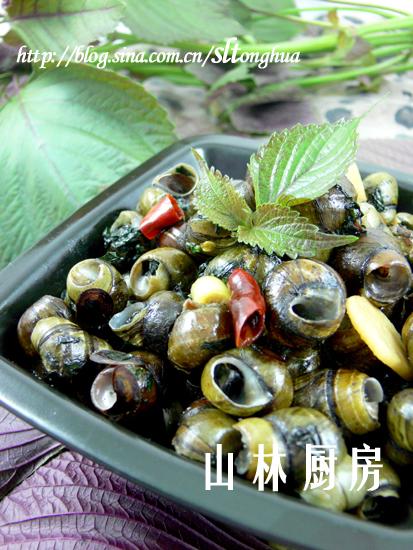 �������ϵ�����