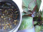 �������ϵ�����