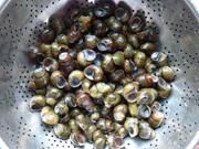 �������ϵ�����