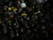 �������ϵ�����