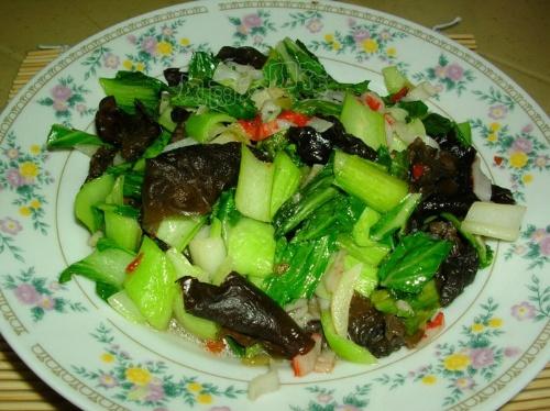 �س�ľ����˵�����