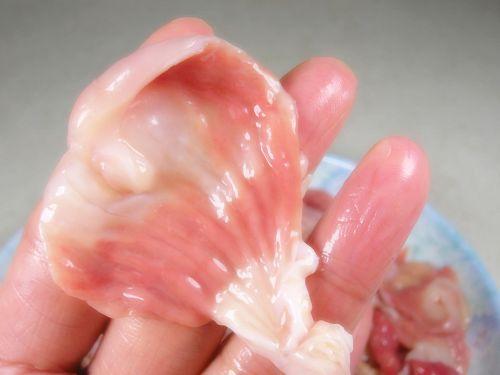 ��������ǵ�����