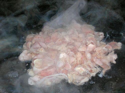 ��������ǵ�����