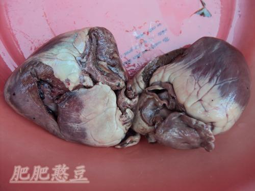 �������ĵ�����