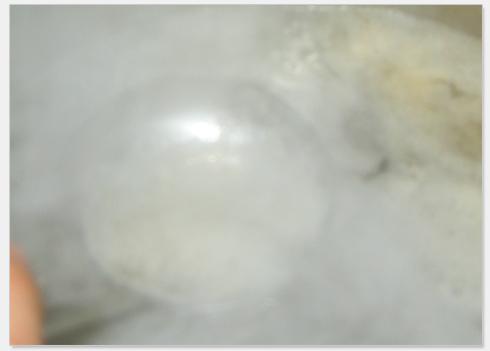 �̶�ײ˷�˿��������