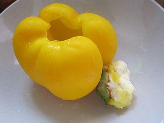 �𿾲ʽ�������