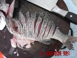 ��֭��ȸ�����������