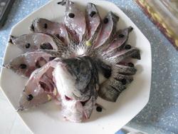 ��֭��ȸ�����������