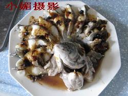 ��֭��ȸ�����������