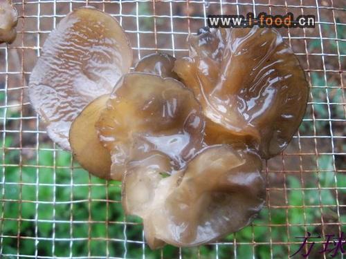 ����ľ�����������