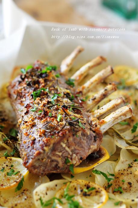 �ۿ�����������������