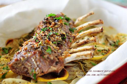 �ۿ�����������������