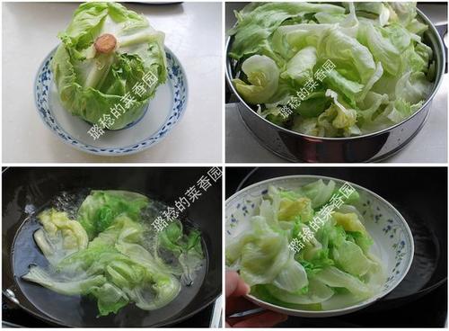 ������˵�����