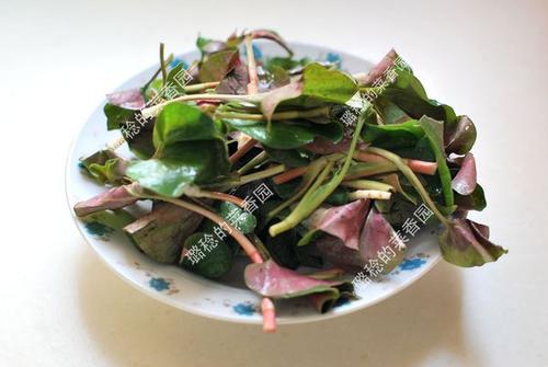 �۶��������������