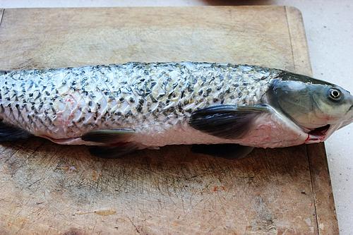 详解家庭自制酸菜的做法