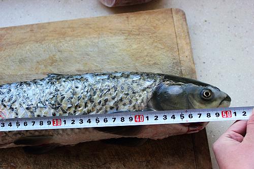 详解家庭自制酸菜的做法