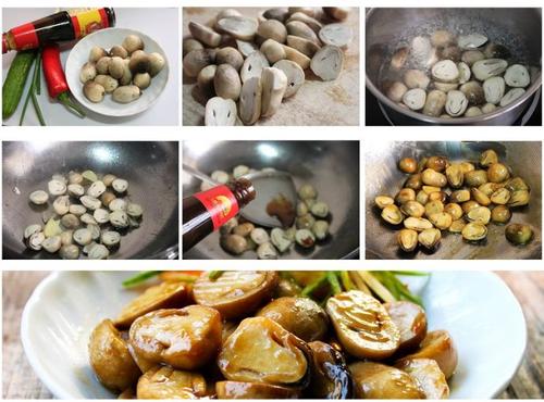 ��Ͳݹ�������