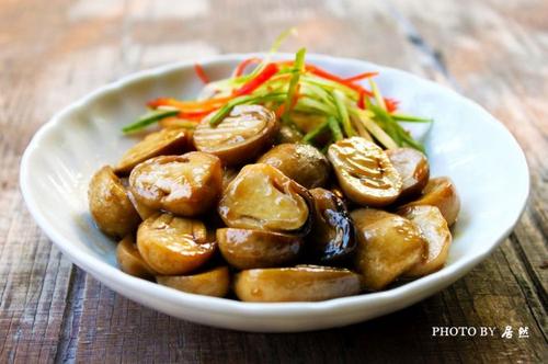 ��Ͳݹ�������