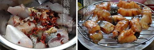 ��ͥ��Ѭ�������