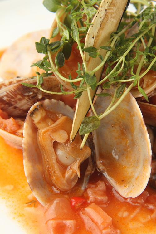 �㳦����������۵�����