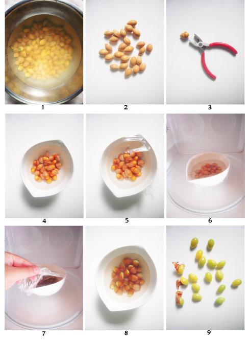茶碗蒸蛋的做法