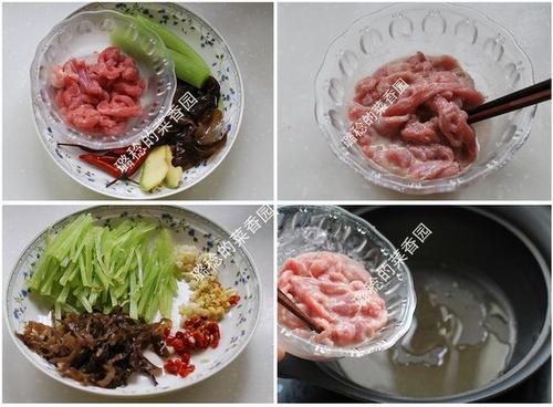 ������˿������