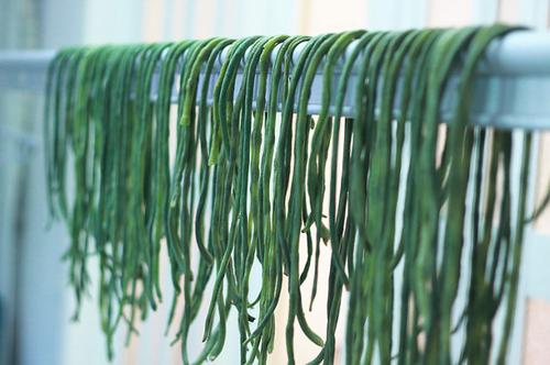 �ɶ������廨�������