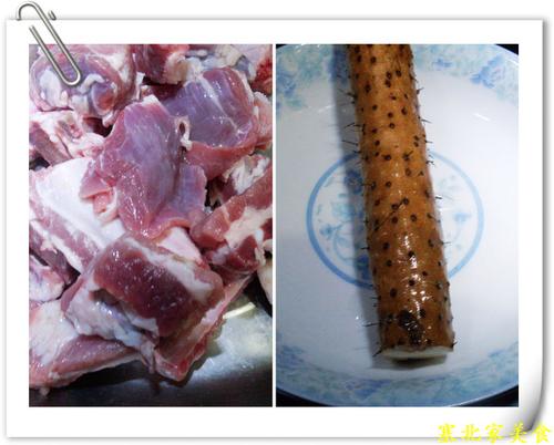 ɽҩ���Źǵ�����