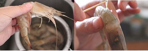 ������Ϻ�²��������