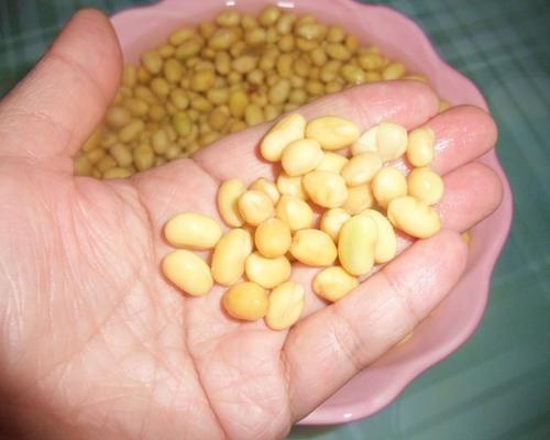 ��֭�ƶ�������