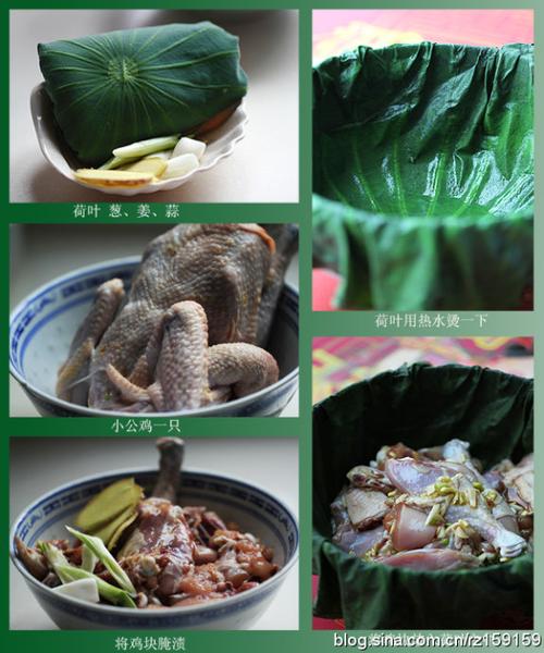 ������Ҷͯ�Ӽ�������