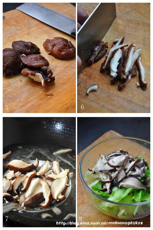 ������˵�����